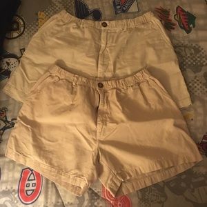 Two Chubbies 5.5” Shorts